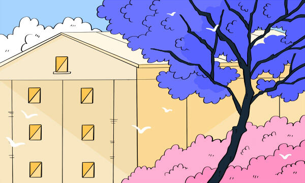 高考报名号忘记了到哪能查到 怎么查询 高考报名号忘记了到哪能查到 怎么查询